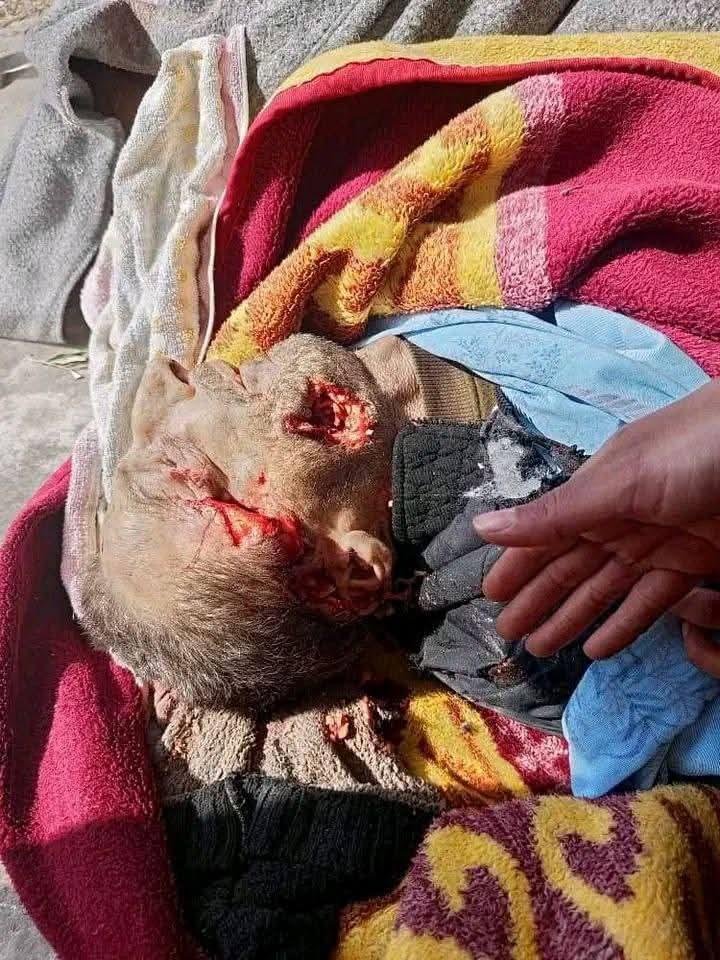 إبادة جماعية للعلويين في الساحل